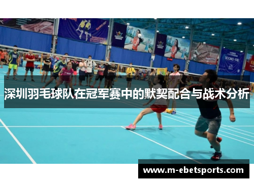 深圳羽毛球队在冠军赛中的默契配合与战术分析