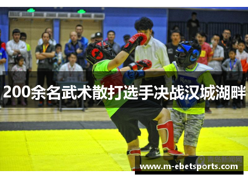 200余名武术散打选手决战汉城湖畔